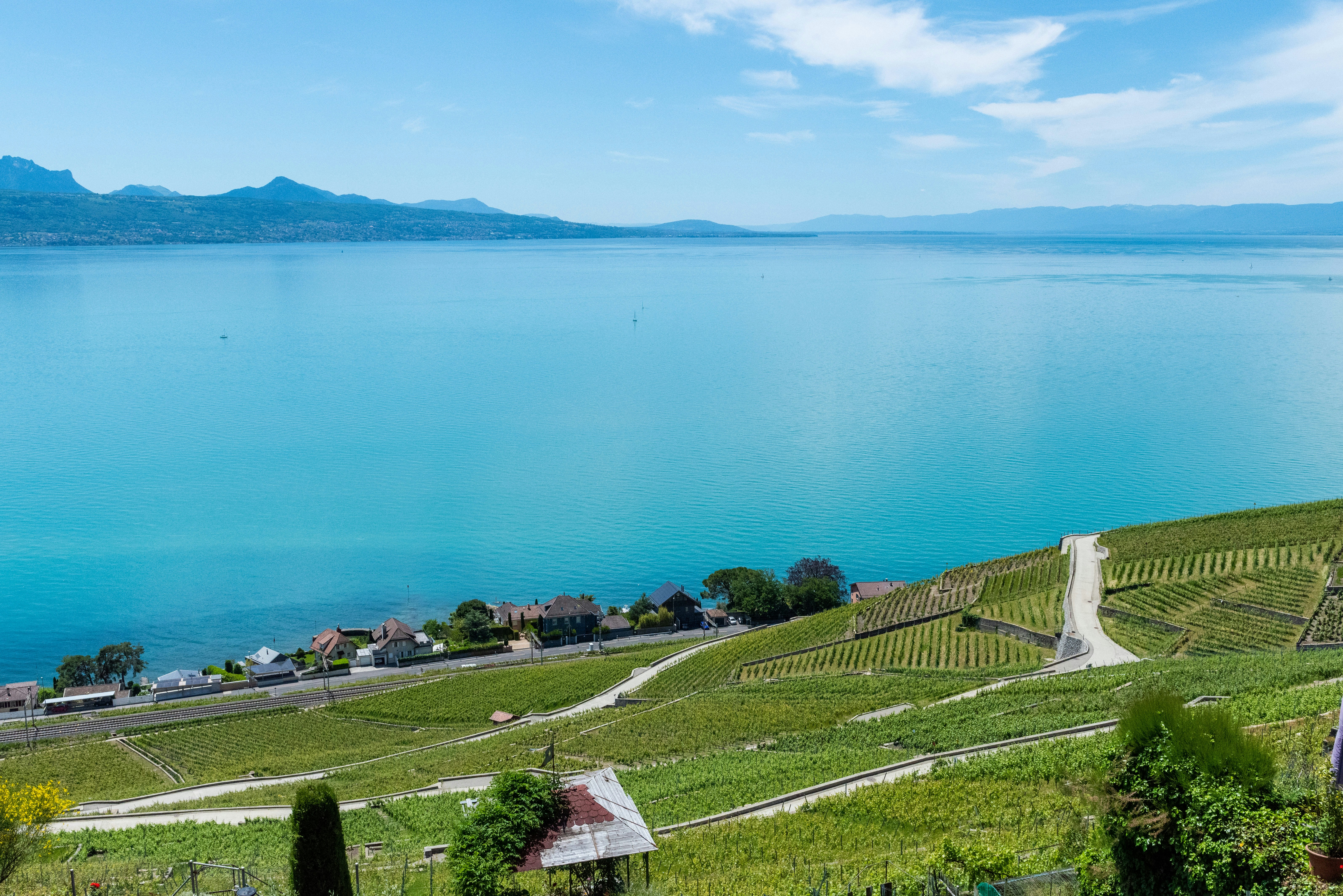 Weinbergterrassen am Genfersee mit Blick auf die Alpen